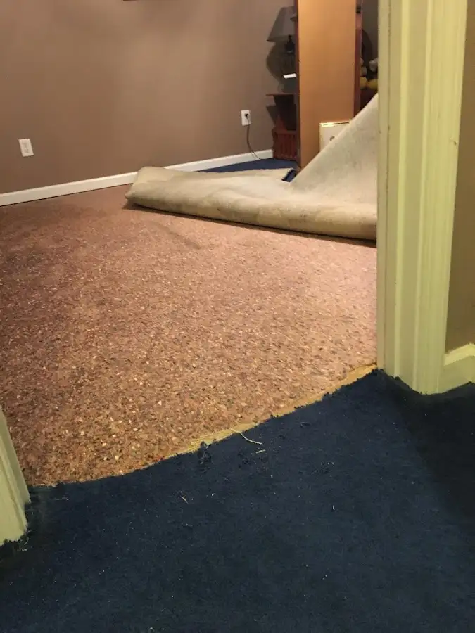 Carpet pad removal revealing water damage during Drying & Dehumidification in Chatham